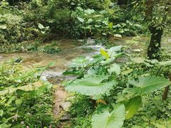 -桂林古东瀑布景区