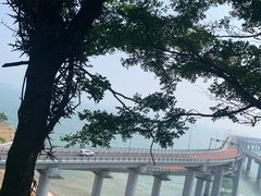 -星海湾跨海大桥