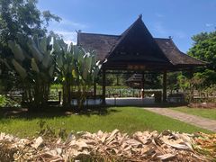 -中国科学院西双版纳热带植物园