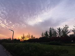 -洨河生态公园