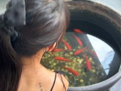 -到家尝北京菜(西坝河店)