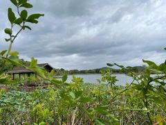 -上海市保健医疗中心