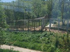-青藏高原野生动物园