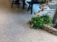 -临街徽菜馆·正宗黄山味