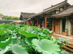 -莫催咖啡