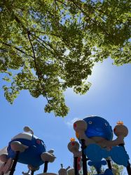 -萌宠亲子动物乐园(槐房万达店)