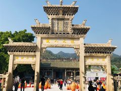 -悦城龙母祖庙