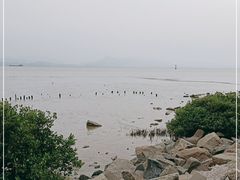 -深圳湾公园(南山区)