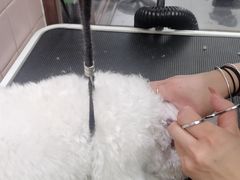 -FAELING PETS美天灵宠物(富力广场店)