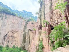 -王莽岭风景区