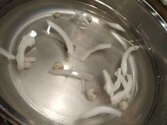 -椰夫人·养生椰子鸡(金沙洲永旺店)