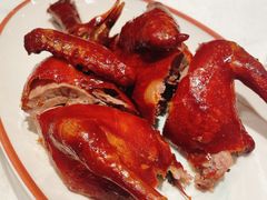 -新雅粤菜馆(南京东路店)