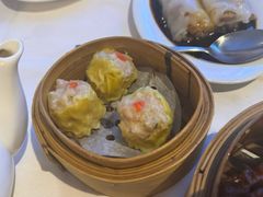 -食为先(Shark Fin)
