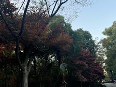 -白马涧龙池景区