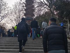 -上海佘山国家森林公园西佘山园