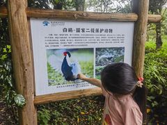 -福建鲤鱼洲酒店