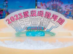 -武汉玛雅海滩水公园