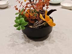 -A One Kitchen·南京精菜馆(晶丽酒店店)