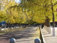 -辽宁大学(崇山校区)