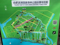 -合肥滨湖国家森林公园