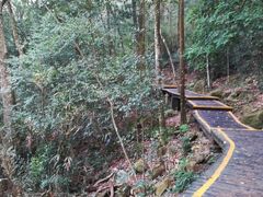 -广州市石门国家森林公园