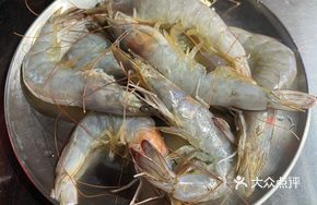 Ecological Shrimp