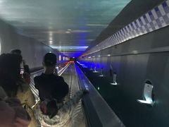 -白鹤梁水下博物馆
