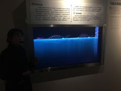 -白鹤梁水下博物馆