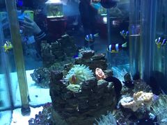 -太平洋海底世界