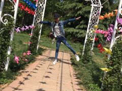 景点-洛阳郁金香牡丹园