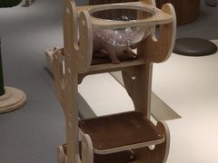 -飞行喵MR PILOT|猫舍·猫咖(静安大融城店)