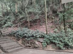 -火炉山森林公园