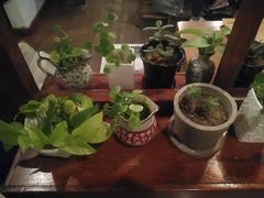 -铃木食堂(帽儿胡同店)