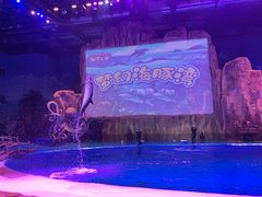 -华夏文旅海洋公园