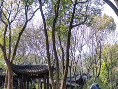 -上海佘山国家森林公园天马山园