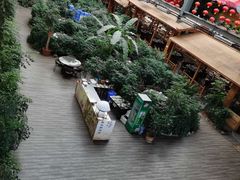 -君临七星生态酒店