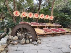 -天目湖山水园