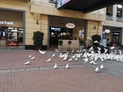 -王府井奥莱临潼小镇(临潼店)