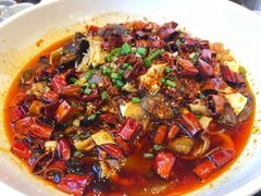 -鑫巴蜀小镇 · 水煮鱼专研店(玉桥店)