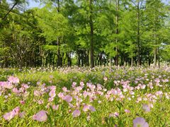 -上海山野camping·户外天幕烧烤·团建拓展营地