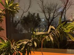 -人间酒暖·Go blanc·烧鸟·深夜食堂(陆家嘴店)
