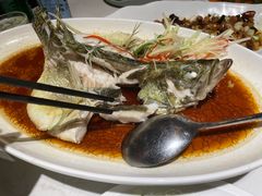-院8里·小聚园(九眼桥店)