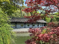 -红梅公园