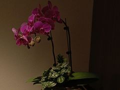 -花锦堂·隐庐