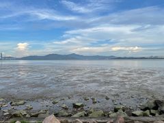 -深圳湾公园(南山区)