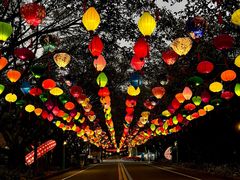 -东南花都花博园