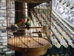 -鱼桥巷·美学川菜