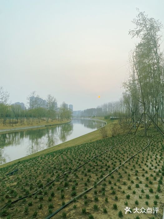 坝河休闲公园图片