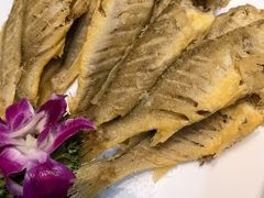 -小船渔村·大连菜(明泽街店)