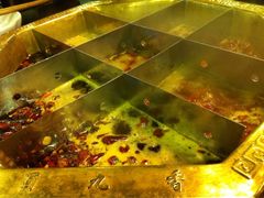 -蜀九香火锅(彩虹店)